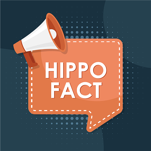 Hippofact
